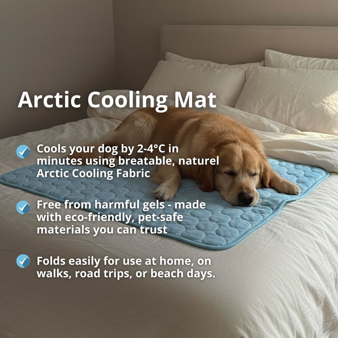 Arctic™ Cooling Dog Mats - Cooling AussiesCooling AussiesArctic™ Cooling Dog Mats