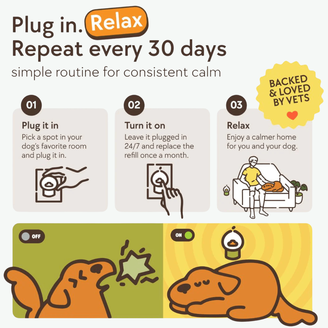 Dog - Only ReliefOnly ReliefDog