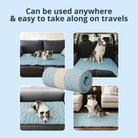 Arctic™ Dog Mat Premium - Cooling AussiesCooling AussiesArctic™ Dog Mat Premium