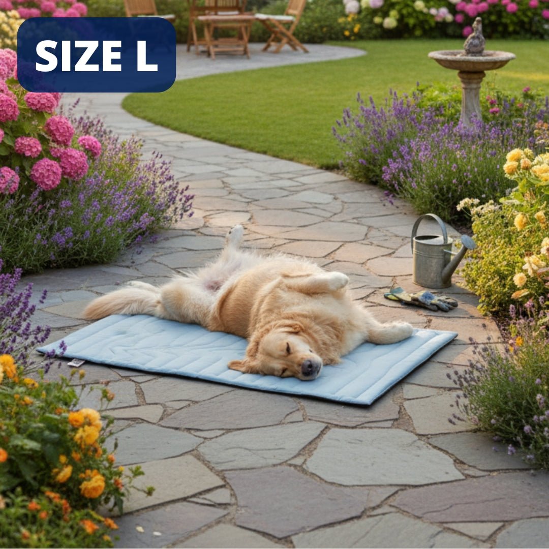 Arctic™ Dog Mat Premium - Cooling AussiesCooling AussiesArctic™ Dog Mat Premium