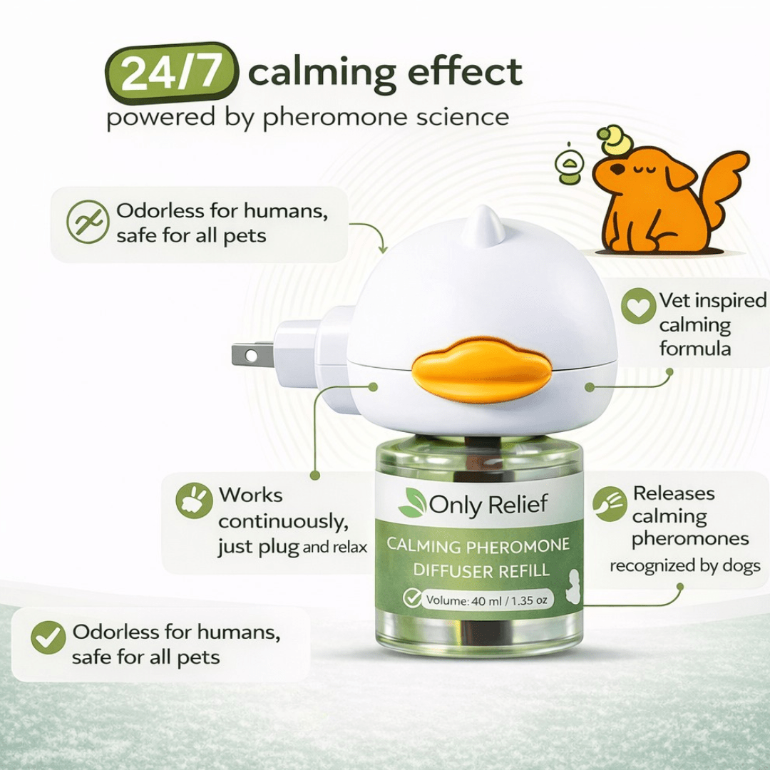 Dog - Only ReliefOnly ReliefDog