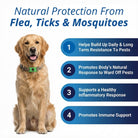 EcoTick - 12 Months Flea and Tick Free - Cooling AussiesCooling AussiesEcoTick - 12 Months Flea and Tick Free