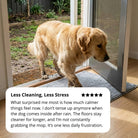 Muddy step - Cooling AussiesCooling AussiesMuddy step