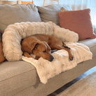 Only Relief Luxurious Sofa Bed - Only ReliefOnly ReliefOnly Relief Luxurious Sofa Bed