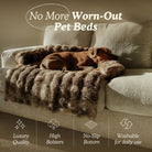 Only Relief Luxurious Sofa Bed - Only ReliefOnly ReliefOnly Relief Luxurious Sofa Bed