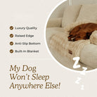 Only Relief Luxurious Sofa Bed - Only ReliefOnly ReliefOnly Relief Luxurious Sofa Bed
