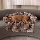 Only Relief Luxurious Sofa Bed - Only ReliefOnly ReliefOnly Relief Luxurious Sofa Bed