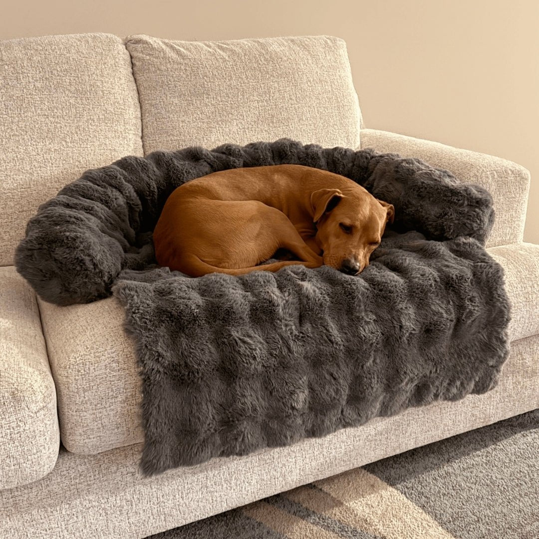 Only Relief Luxurious Sofa Bed - Only ReliefOnly ReliefOnly Relief Luxurious Sofa Bed